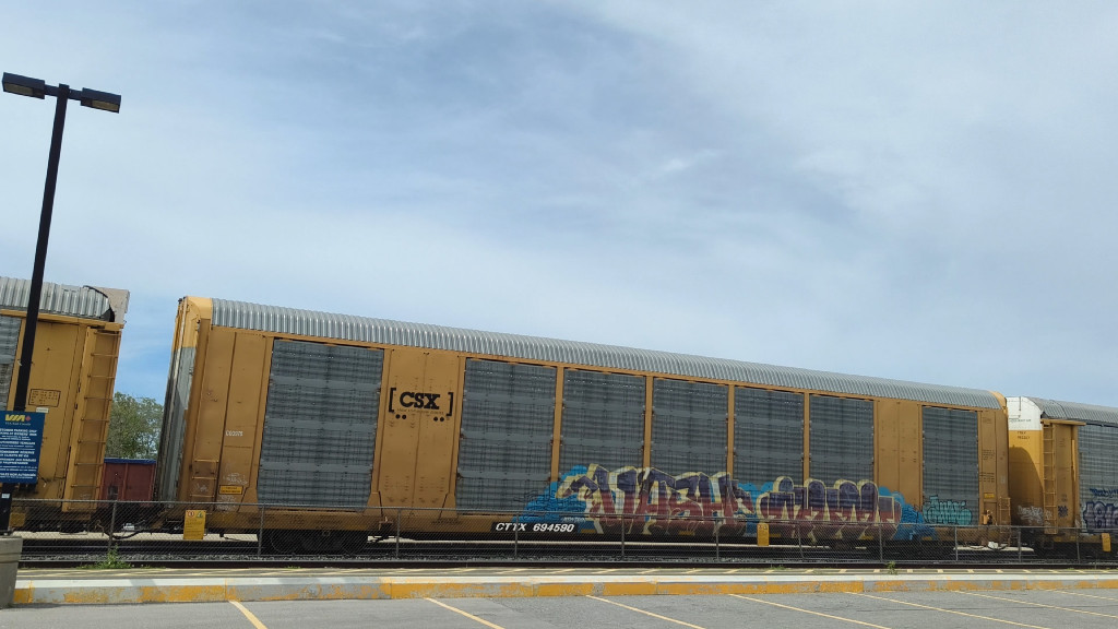 CSX C00976 (Body) CTTX 694590 (Flat)